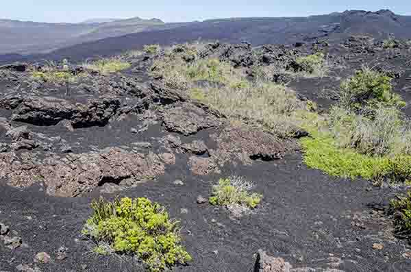 68 - Ecuador - islas Galapagos - isla Isabela - volcan Sierra Negra
